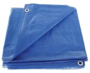 Plàstic Protecció Pluja